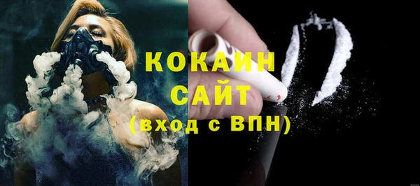 гидра Верея