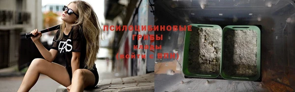 гидра Верея