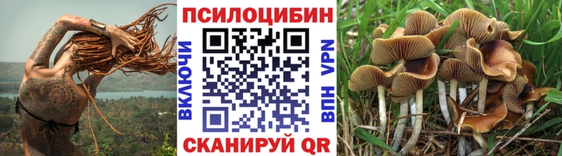 Псилоцибиновые грибы Cubensis  купить наркоту  Ижевск 